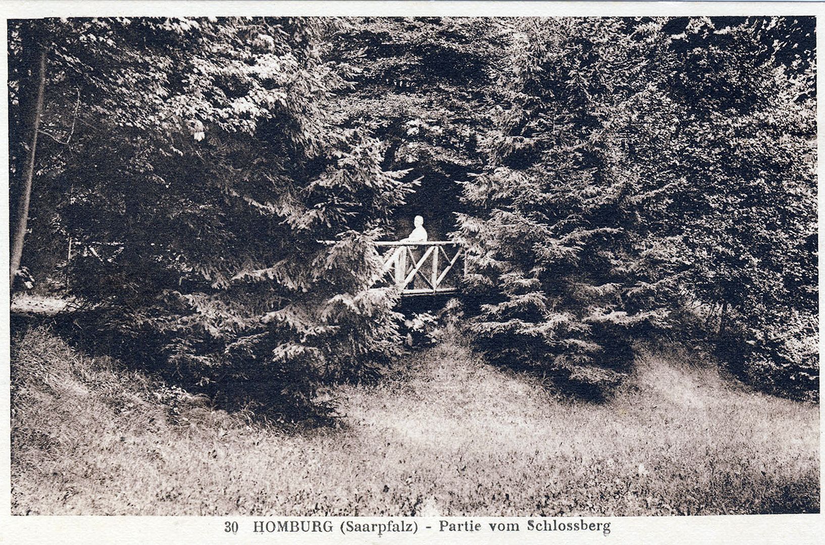 Historische Postkarte „Homburg (Saarpfalz) – Partie vom Schlossberg“ mit Holzbrücke zwischen dunklen Nadelbäumen